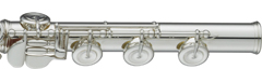 YFL-687