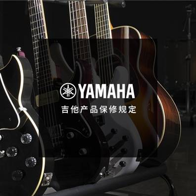 吉他、贝斯和音箱